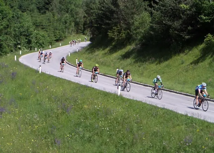 Apartament Ginnys Place *